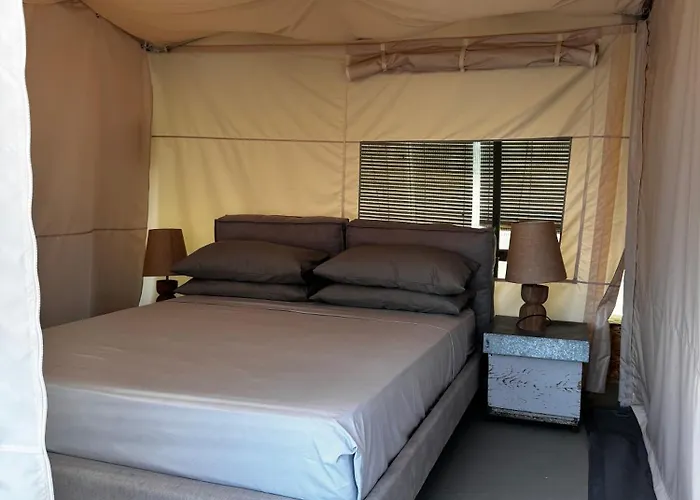 Daire Voeuja Maggiore *